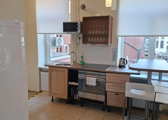 Apartment Two Bedrooms In The Very Center Kaunas